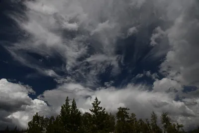 DSC_4372 (Large).JPG